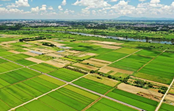 耕作地開発事業