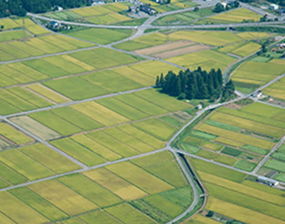 農地の利活用