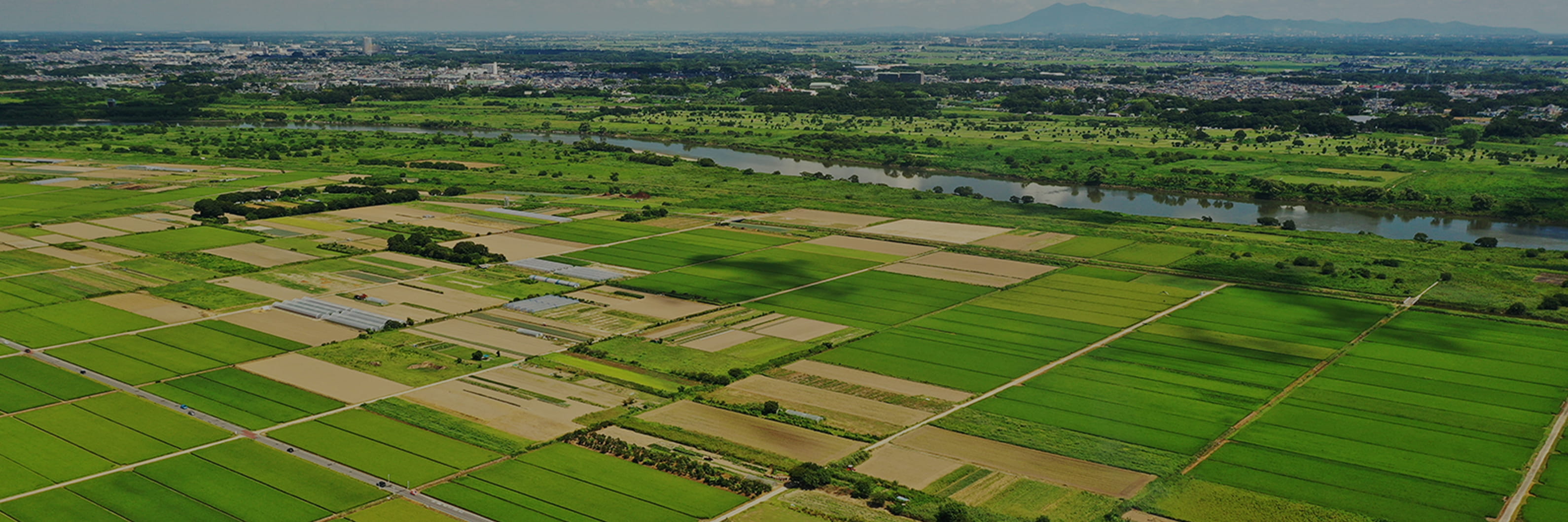 Cultivated land development 耕作地開発事業