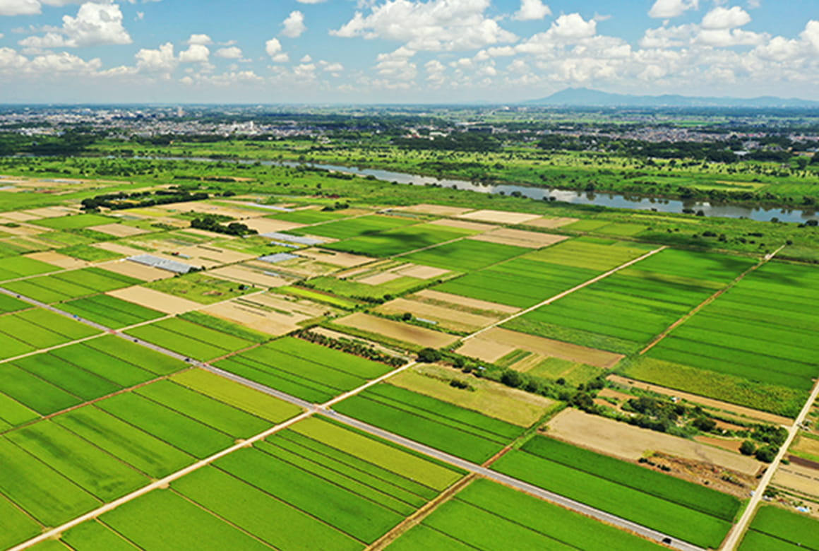 耕作地開発事業