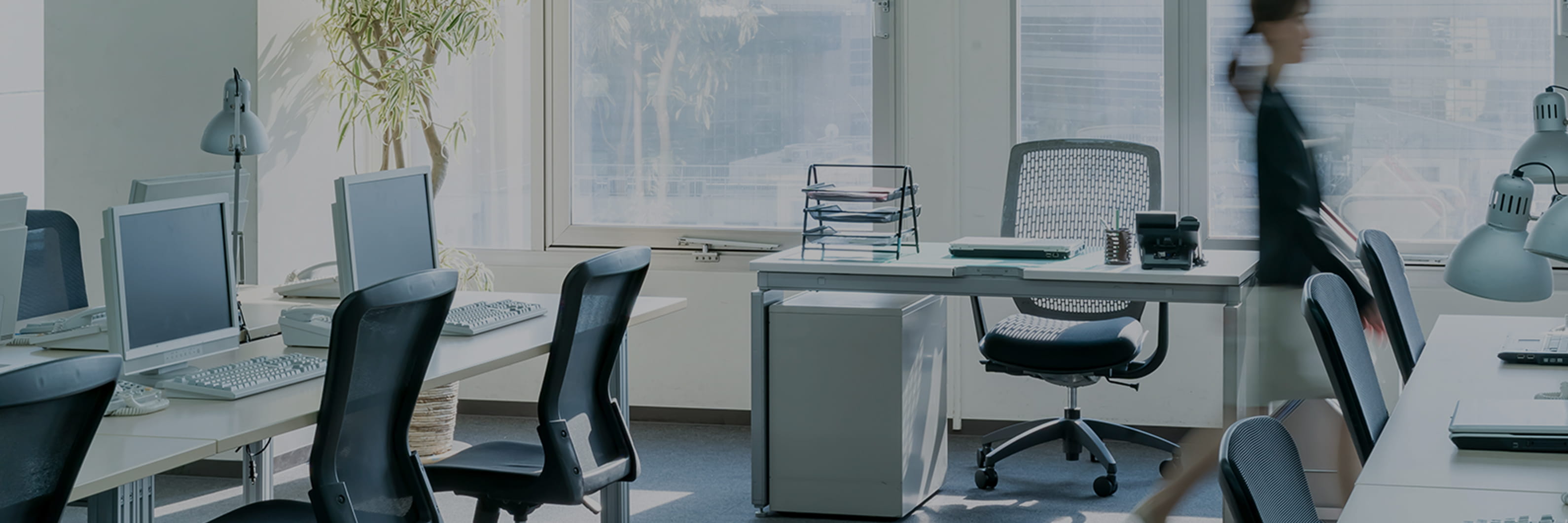 Company 企業情報