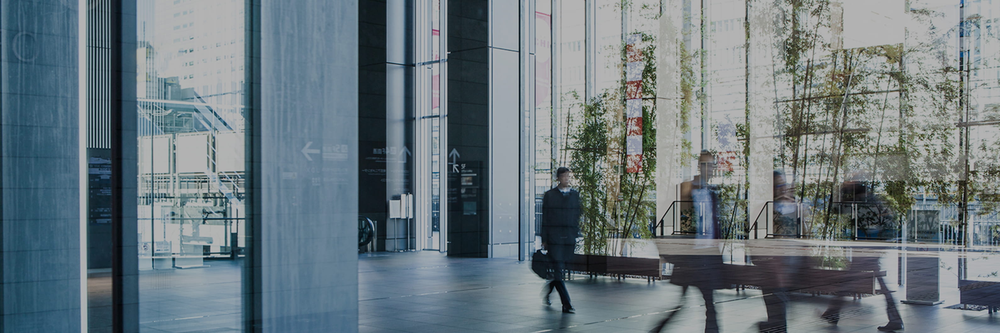 Company Outline 会社概要