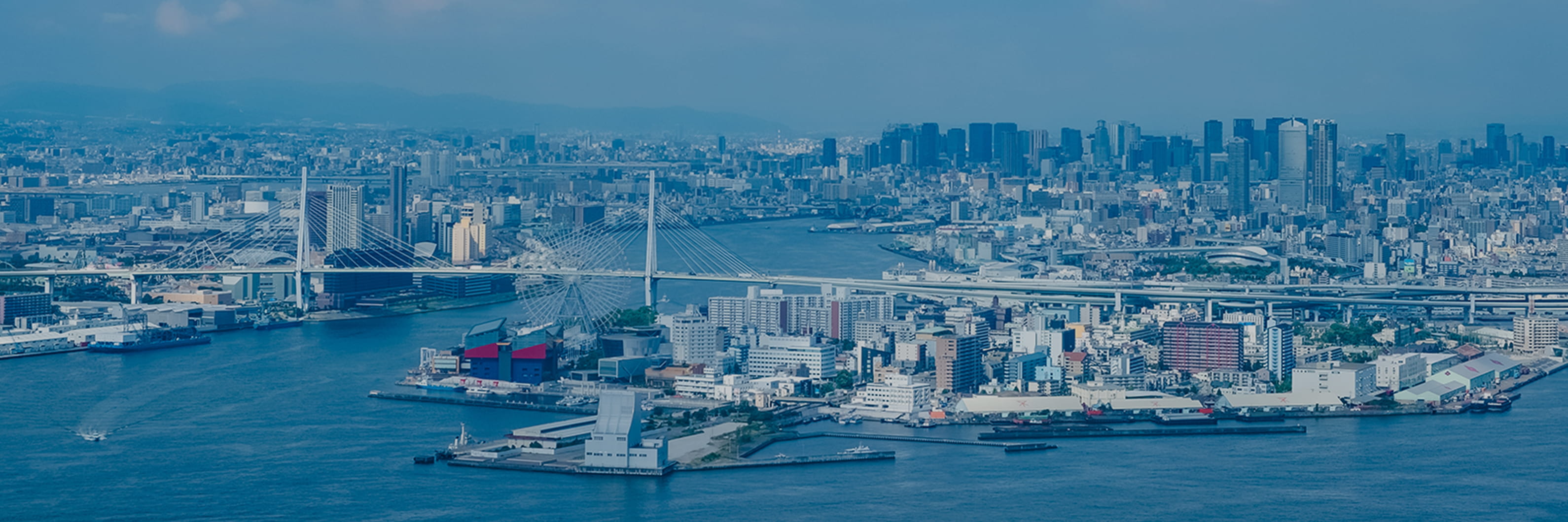 Philosophy / Vision 理念・ビジョン