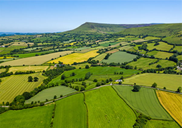 機能分立で不動産事業のシナジーを創る