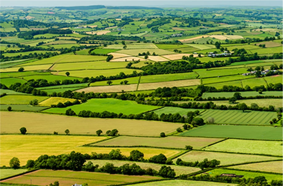 株式会社グッドフィールド