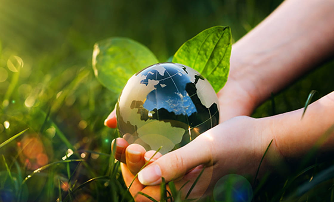 環境課題への積極的な取り組み