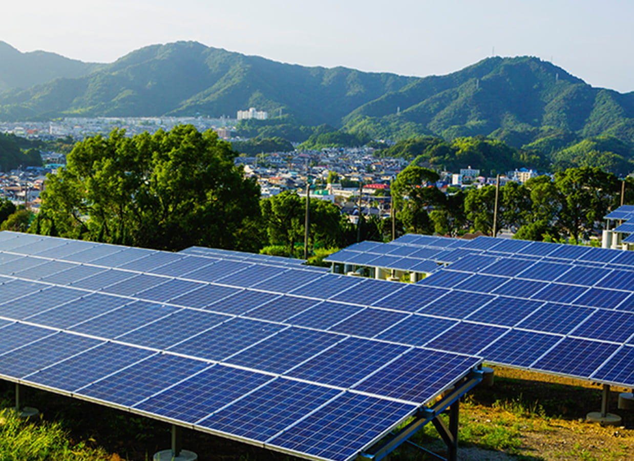 プラスティック製品を削減し、 木くずのパレット製造の再利用化