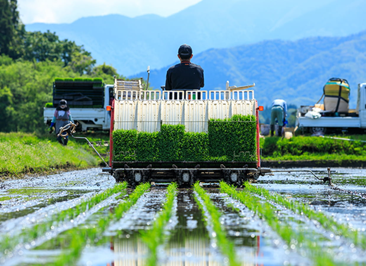 プラスティック製品を削減し、 木くずのパレット製造の再利用化