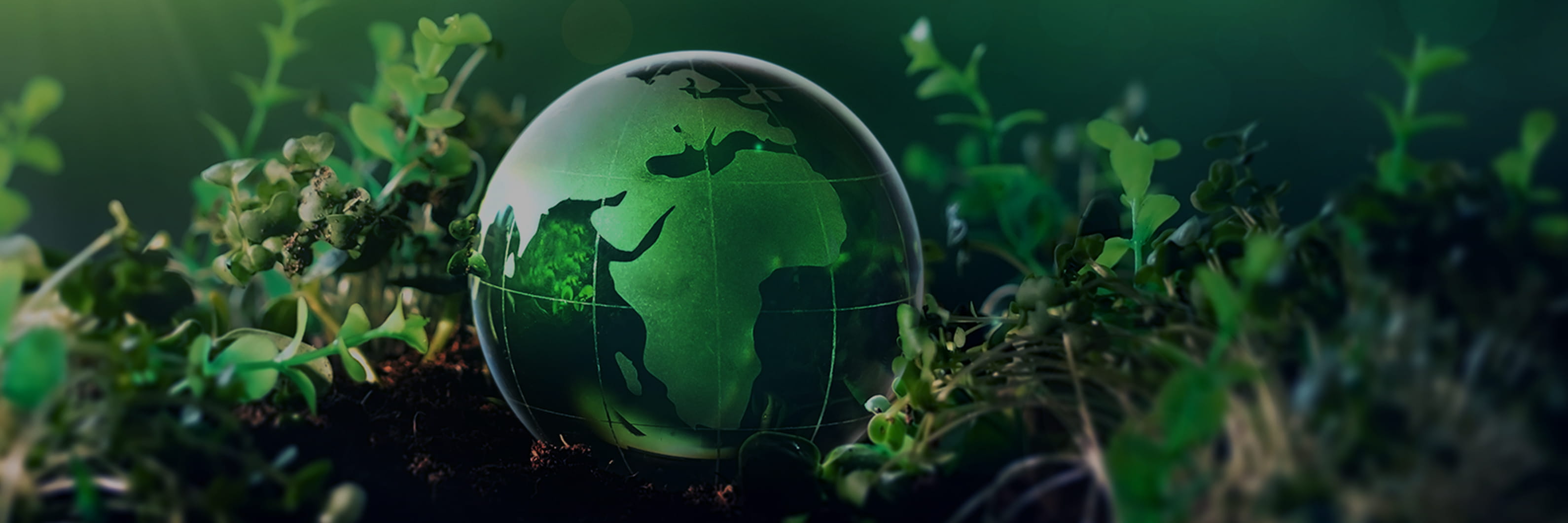 Sustainability サスティナビリティ