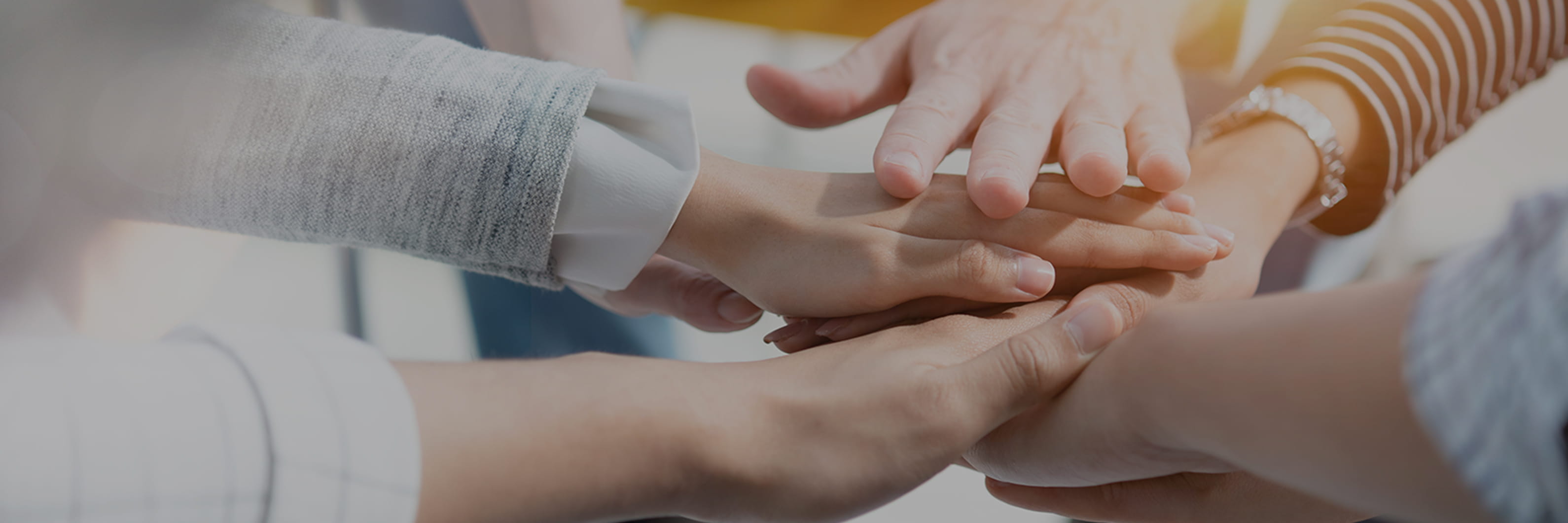 CSR 社会貢献活動